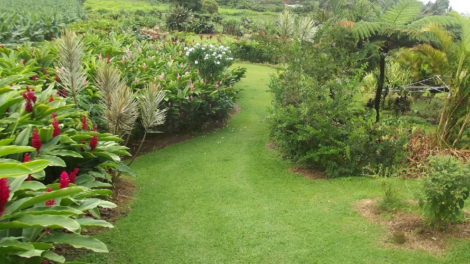 rencontre tropical guadeloupe