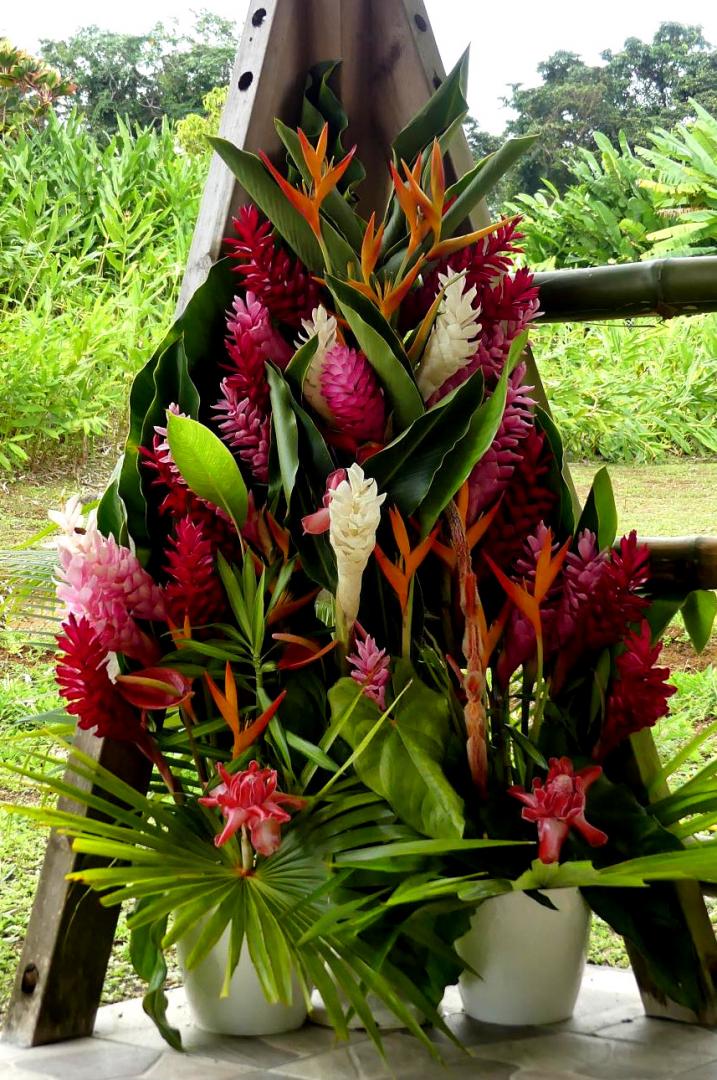 Vente de fleurs - Capesterre-Belle-Eau, Guadeloupe | JARDINS DE LA RENCONTRE